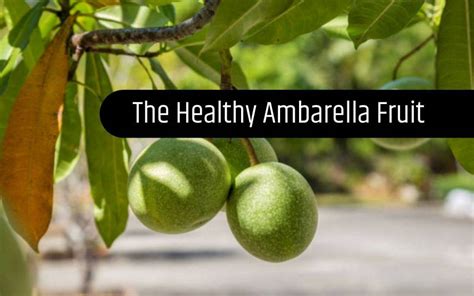 ambalanga in english|Amazing Health Benefits of Ambarella Fruit for Skin, Hair and .